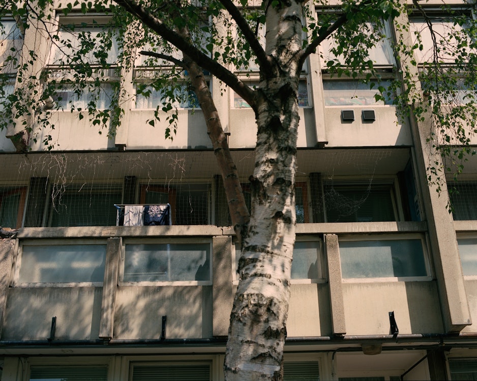 M le Monde, Robin Hood Gardens